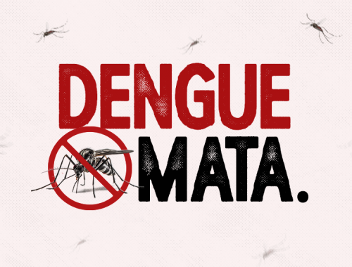  Tijucas contabiliza 2.231 casos confirmados de dengue